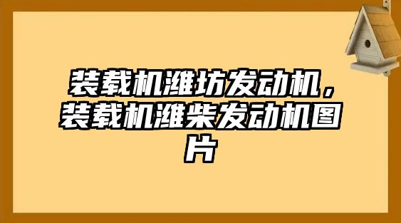 裝載機(jī)濰坊發(fā)動(dòng)機(jī)，裝載機(jī)濰柴發(fā)動(dòng)機(jī)圖片