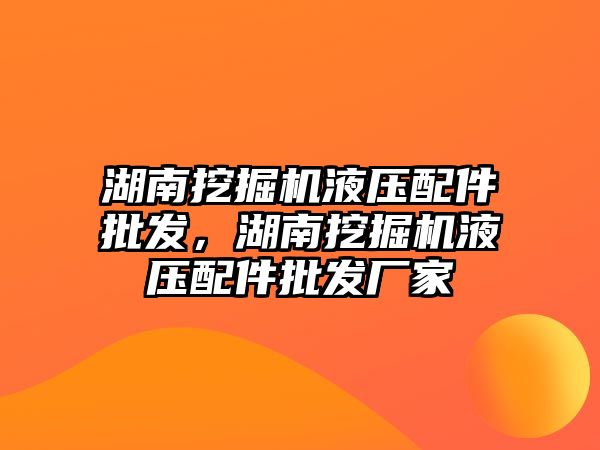 湖南挖掘機液壓配件批發(fā)，湖南挖掘機液壓配件批發(fā)廠家