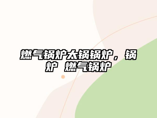 燃?xì)忮仩t太鍋鍋爐，鍋爐 燃?xì)忮仩t