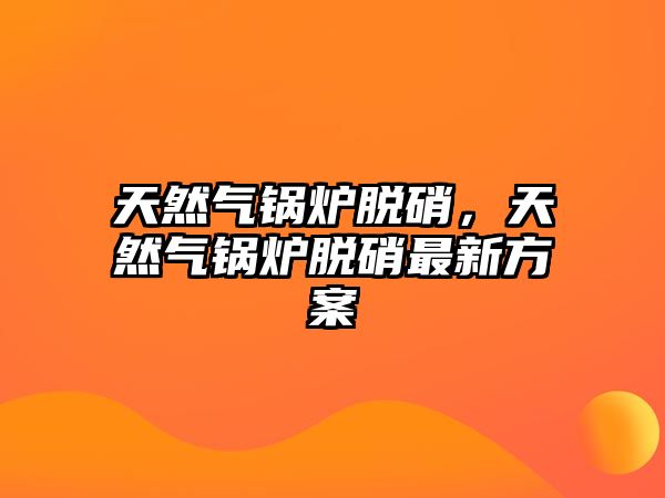 天然氣鍋爐脫硝，天然氣鍋爐脫硝最新方案