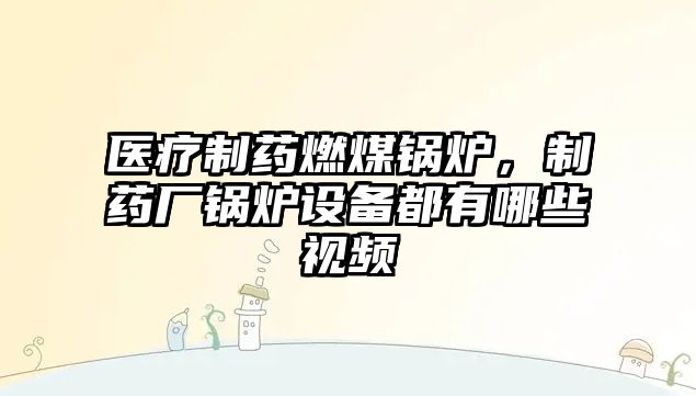 醫(yī)療制藥燃煤鍋爐，制藥廠鍋爐設備都有哪些視頻