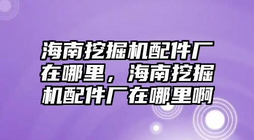 海南挖掘機(jī)配件廠在哪里，海南挖掘機(jī)配件廠在哪里啊