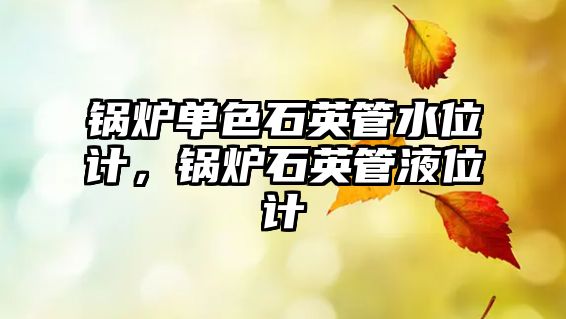 鍋爐單色石英管水位計，鍋爐石英管液位計