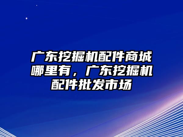 廣東挖掘機(jī)配件商城哪里有，廣東挖掘機(jī)配件批發(fā)市場