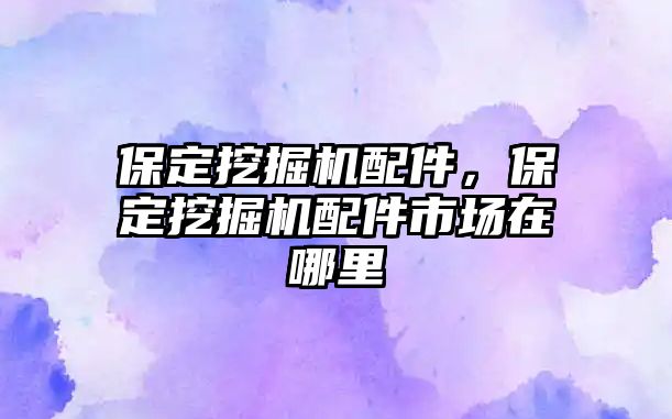 保定挖掘機配件，保定挖掘機配件市場在哪里