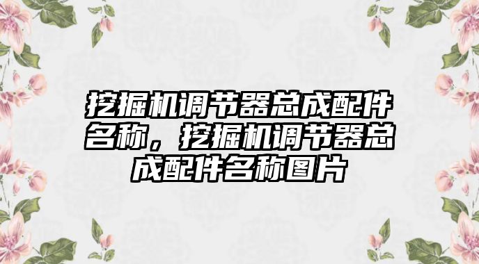 挖掘機調節(jié)器總成配件名稱，挖掘機調節(jié)器總成配件名稱圖片