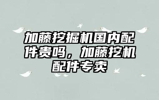 加藤挖掘機國內(nèi)配件貴嗎，加藤挖機配件專賣