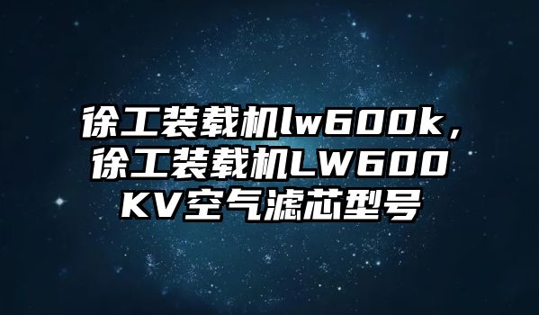 徐工裝載機lw600k，徐工裝載機LW600KV空氣濾芯型號