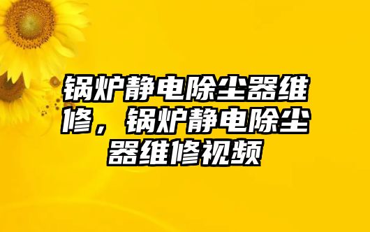 鍋爐靜電除塵器維修，鍋爐靜電除塵器維修視頻