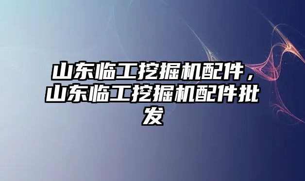 山東臨工挖掘機配件，山東臨工挖掘機配件批發(fā)