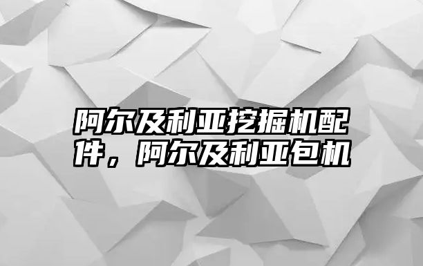 阿爾及利亞挖掘機配件，阿爾及利亞包機