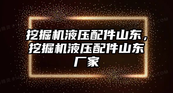 挖掘機液壓配件山東，挖掘機液壓配件山東廠家