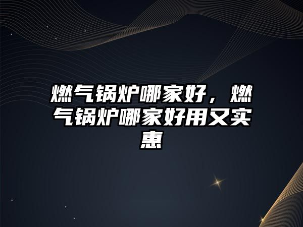 燃?xì)忮仩t哪家好，燃?xì)忮仩t哪家好用又實(shí)惠