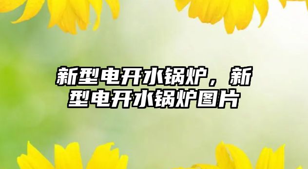 新型電開水鍋爐，新型電開水鍋爐圖片