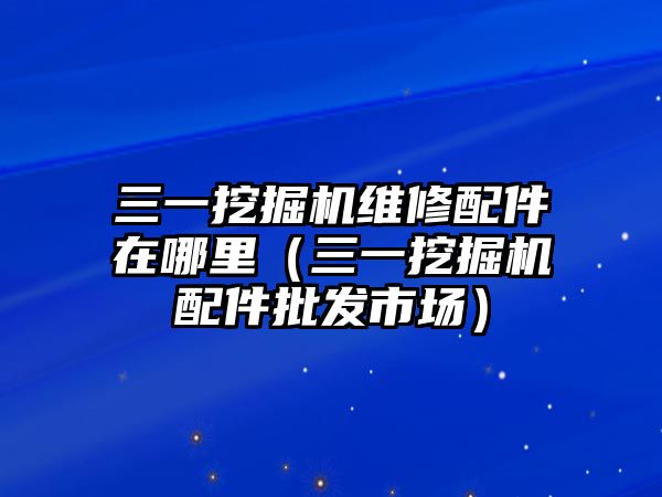 三一挖掘機維修配件在哪里（三一挖掘機配件批發(fā)市場）