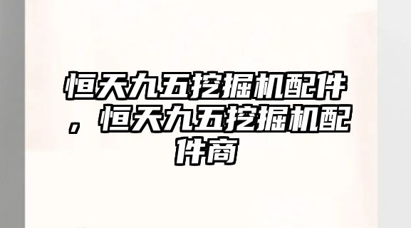 恒天九五挖掘機配件，恒天九五挖掘機配件商