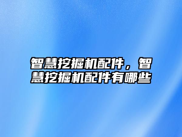 智慧挖掘機配件，智慧挖掘機配件有哪些