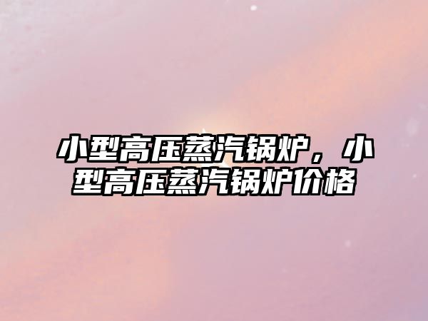 小型高壓蒸汽鍋爐，小型高壓蒸汽鍋爐價格