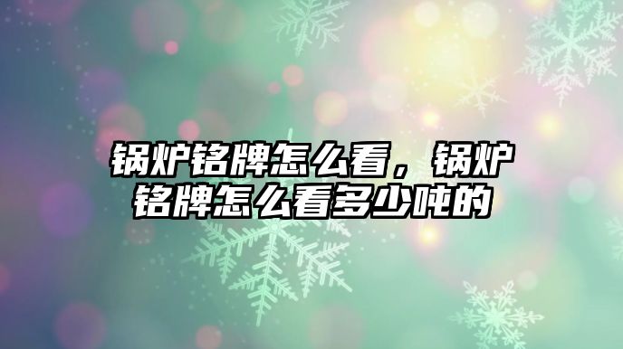 鍋爐銘牌怎么看，鍋爐銘牌怎么看多少噸的