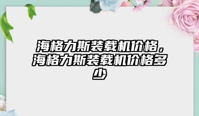 海格力斯裝載機(jī)價格，海格力斯裝載機(jī)價格多少