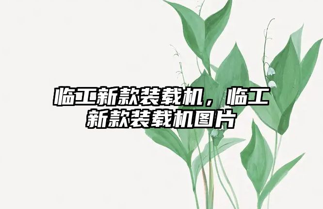 臨工新款裝載機(jī)，臨工新款裝載機(jī)圖片