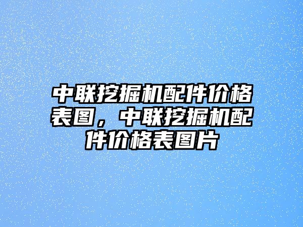 中聯(lián)挖掘機配件價格表圖，中聯(lián)挖掘機配件價格表圖片