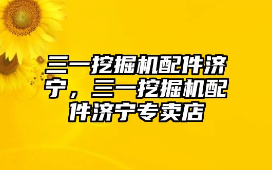 三一挖掘機配件濟寧，三一挖掘機配件濟寧專賣店