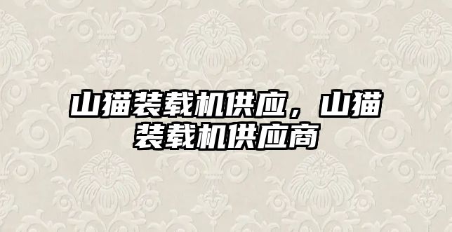 山貓裝載機供應(yīng)，山貓裝載機供應(yīng)商