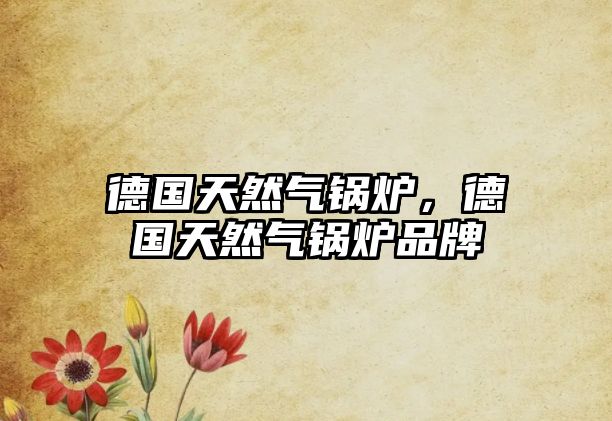 德國(guó)天然氣鍋爐，德國(guó)天然氣鍋爐品牌