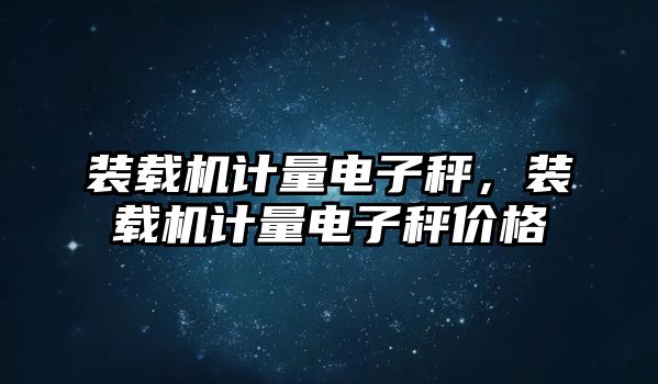 裝載機(jī)計(jì)量電子秤，裝載機(jī)計(jì)量電子秤價(jià)格