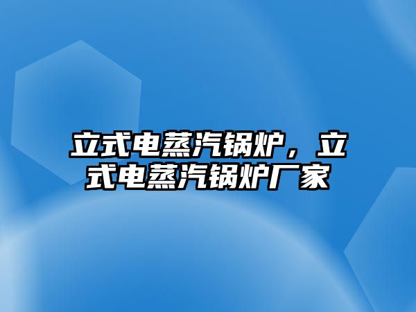 立式電蒸汽鍋爐，立式電蒸汽鍋爐廠家