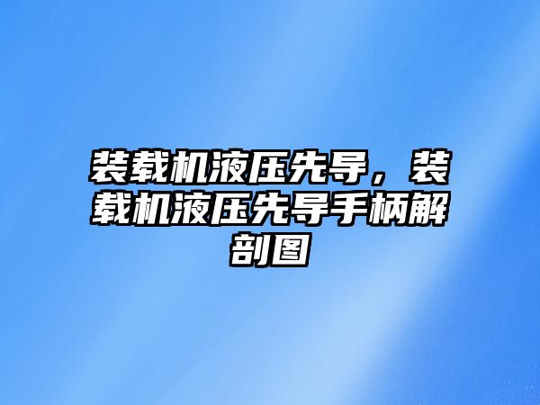 裝載機液壓先導，裝載機液壓先導手柄解剖圖