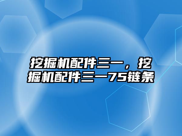 挖掘機配件三一，挖掘機配件三一75鏈條