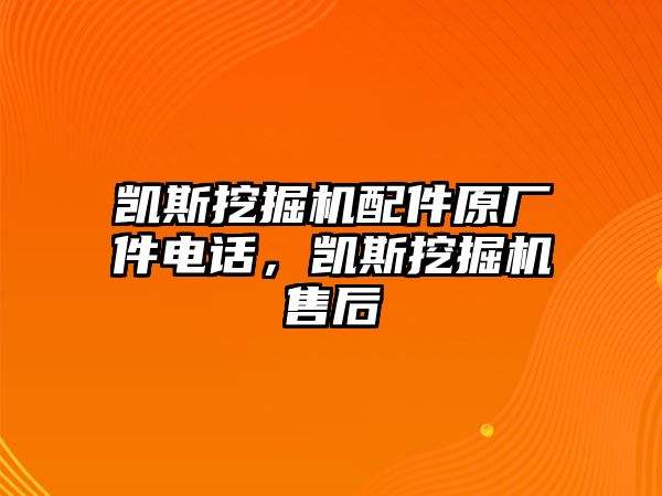 凱斯挖掘機(jī)配件原廠件電話，凱斯挖掘機(jī)售后