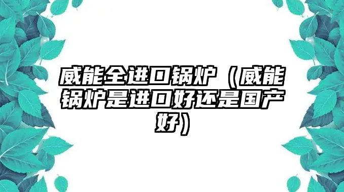 威能全進口鍋爐（威能鍋爐是進口好還是國產好）