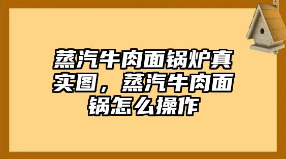 蒸汽牛肉面鍋爐真實圖，蒸汽牛肉面鍋怎么操作