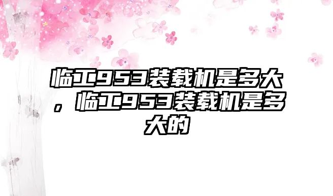 臨工953裝載機是多大，臨工953裝載機是多大的