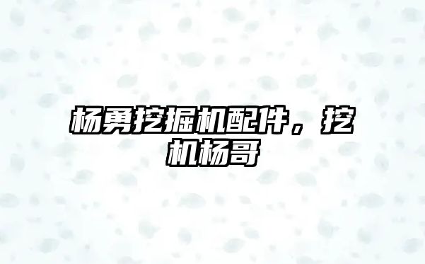 楊勇挖掘機配件，挖機楊哥