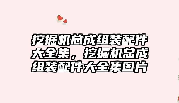 挖掘機總成組裝配件大全集，挖掘機總成組裝配件大全集圖片