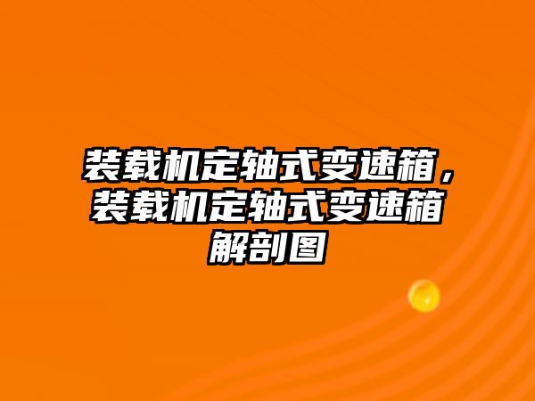 裝載機定軸式變速箱，裝載機定軸式變速箱解剖圖