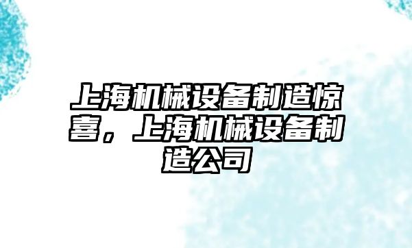 上海機械設(shè)備制造驚喜，上海機械設(shè)備制造公司