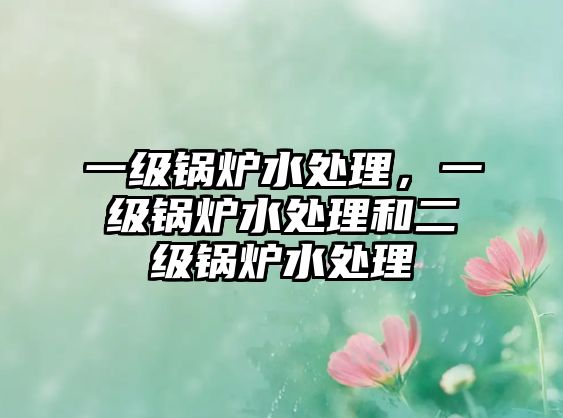 一級鍋爐水處理，一級鍋爐水處理和二級鍋爐水處理