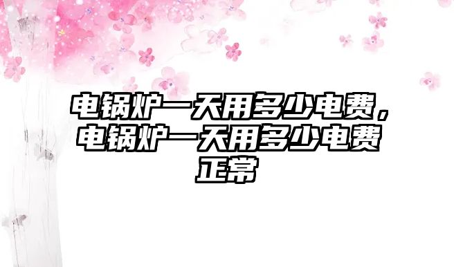 電鍋爐一天用多少電費，電鍋爐一天用多少電費正常