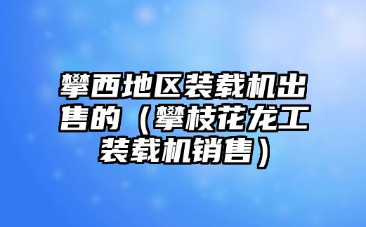 攀西地區(qū)裝載機(jī)出售的（攀枝花龍工裝載機(jī)銷售）