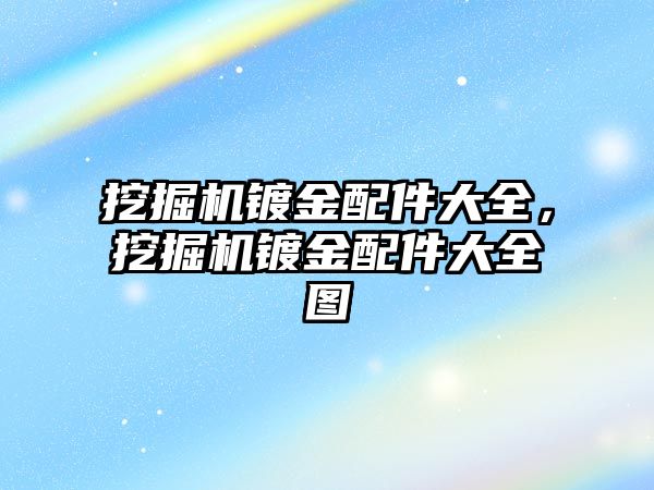 挖掘機鍍金配件大全，挖掘機鍍金配件大全圖