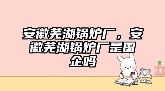 安徽蕪湖鍋爐廠，安徽蕪湖鍋爐廠是國企嗎