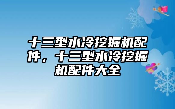 十三型水冷挖掘機配件，十三型水冷挖掘機配件大全