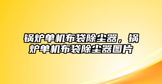 鍋爐單機布袋除塵器，鍋爐單機布袋除塵器圖片