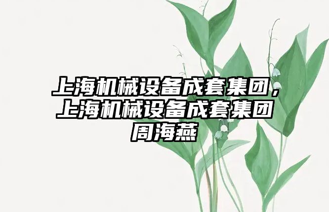 上海機械設備成套集團，上海機械設備成套集團周海燕