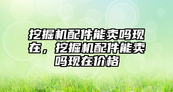 挖掘機配件能賣嗎現在，挖掘機配件能賣嗎現在價格